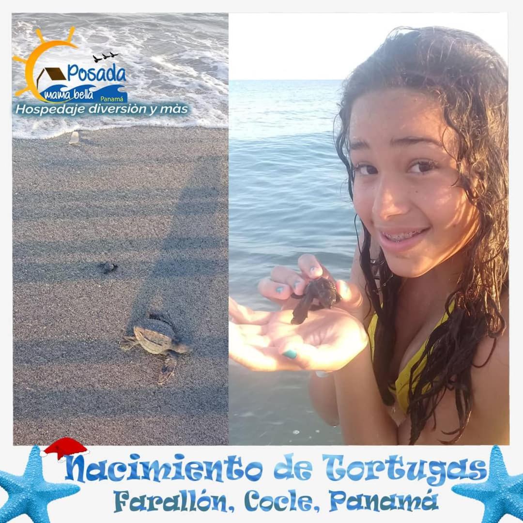 Posada Mama Bella Playa Blanca  Buitenkant foto